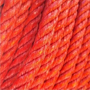 Sogavaquera.com - SOGA COLOR 3